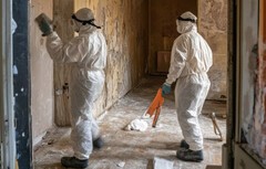 Water Damage Repair Specialists Your Local Pros